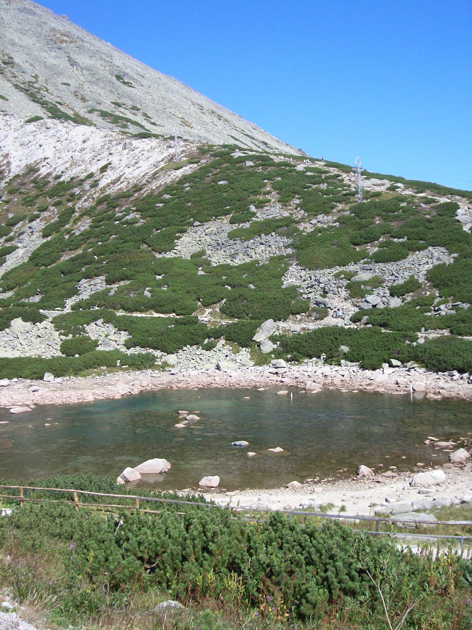 CIMG2124.JPG